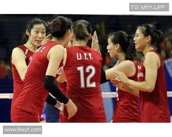 武汉排球队实力强劲荣登全国排球实力排行榜第八名