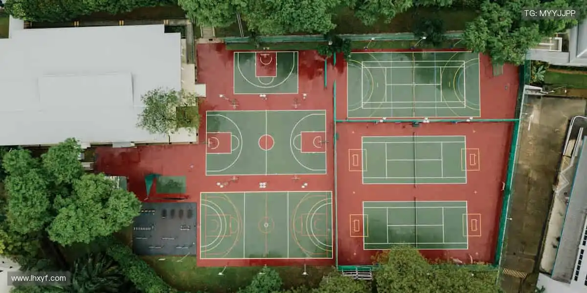 🏆 赛事激情,与全球观众同频共振!